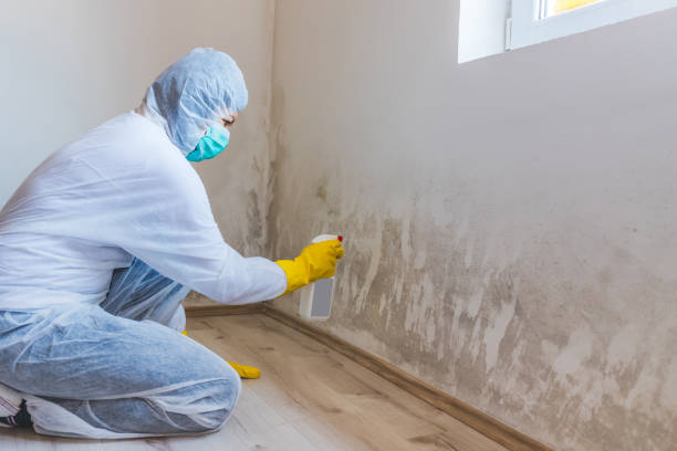 Licensed Mold Testing service in Halifax, VA - WQB Mold Removal