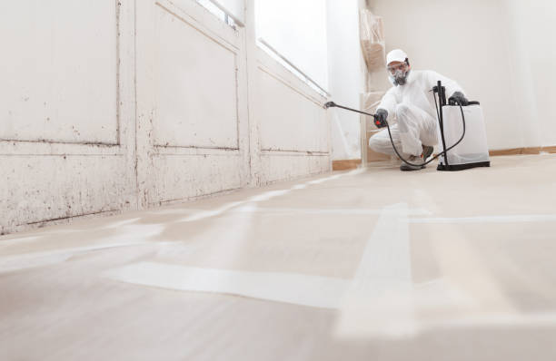 24/7 Emergency Mold Testing experts in Halifax, VA