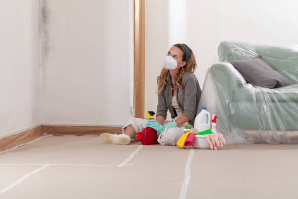 Reliable Mold Testing contractor in Halifax, VA by WQB Mold Removal