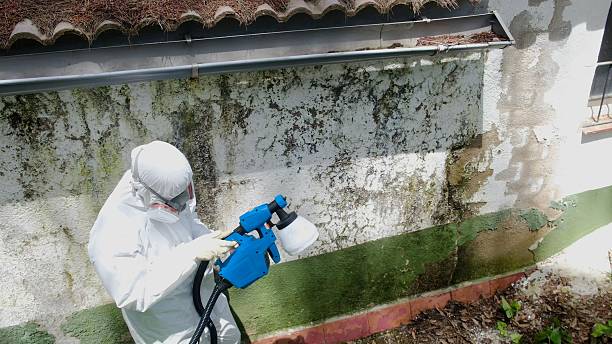 Top rated local Mold Testing specialists in Halifax, VA